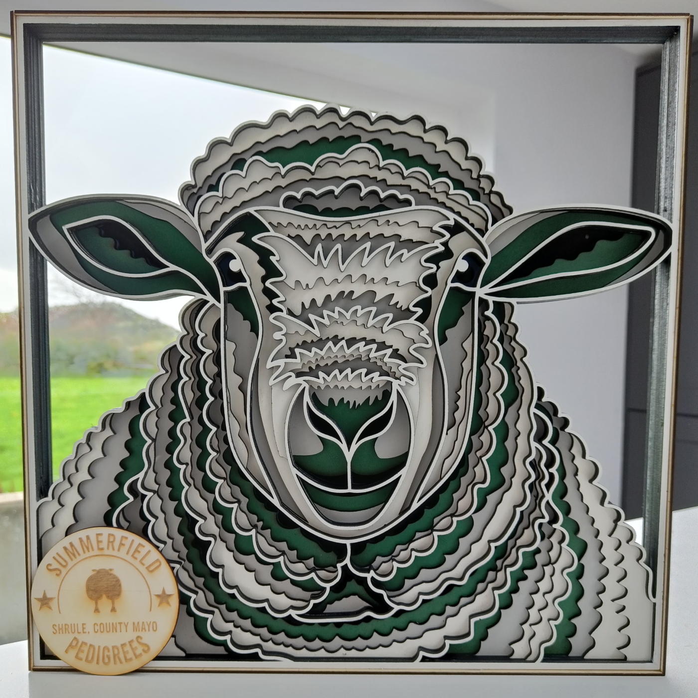 Sheep